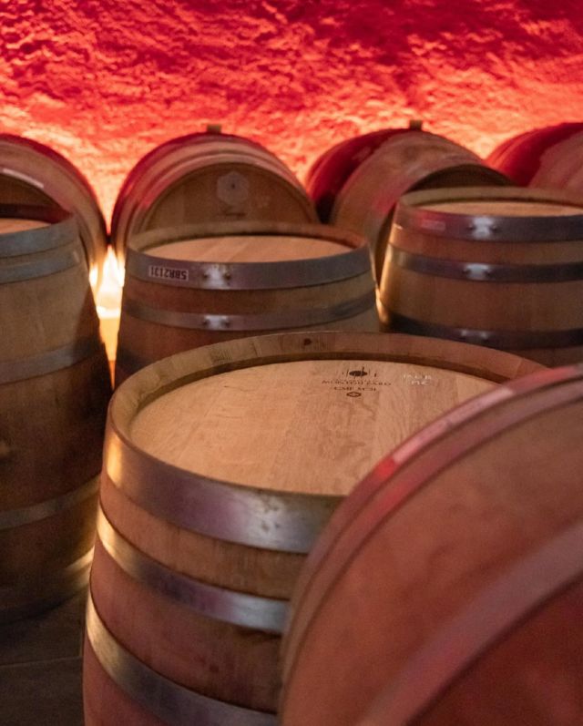 Chaque choix a son importance : les barriques, par la diversité de leurs bois, ou même le travail du tonnelier, peuvent transformer le goût du vin.🍇🍷

#VinSuisse #DomaineDuBurignon #BedAndBreakfast #Léman #vue #vendanges

📸@thara_scippa

✍️@momo_1o1o
